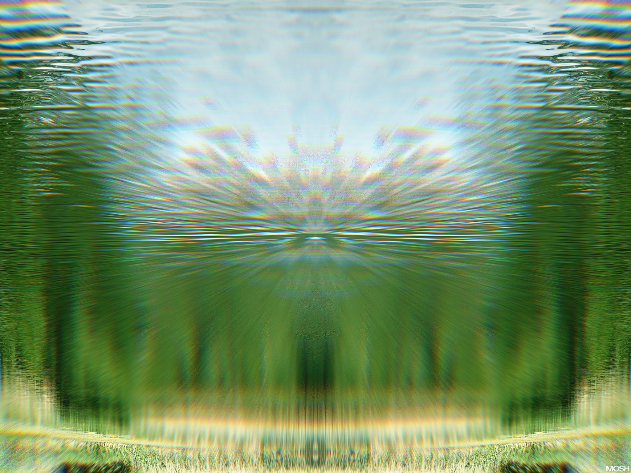 Fruiting Currents Cover Illustration